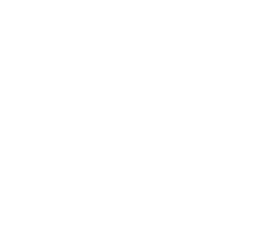 The Daily Mile Foundation